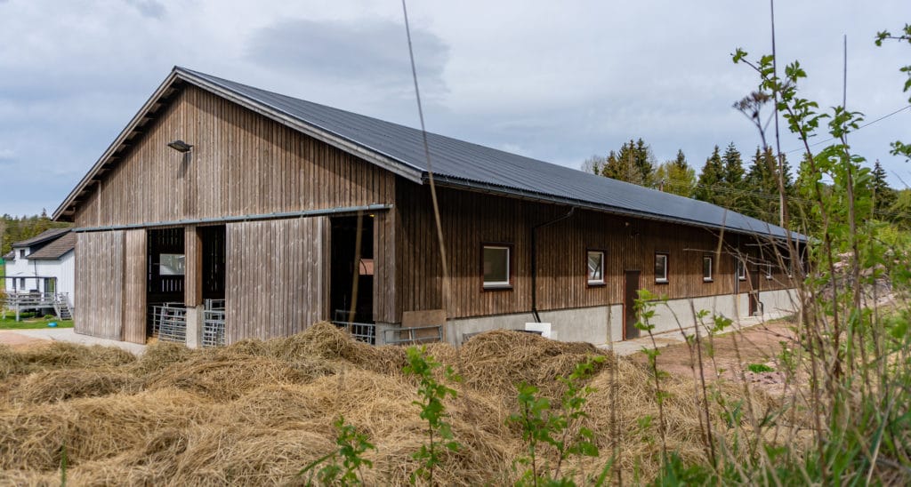 Fjøs i element