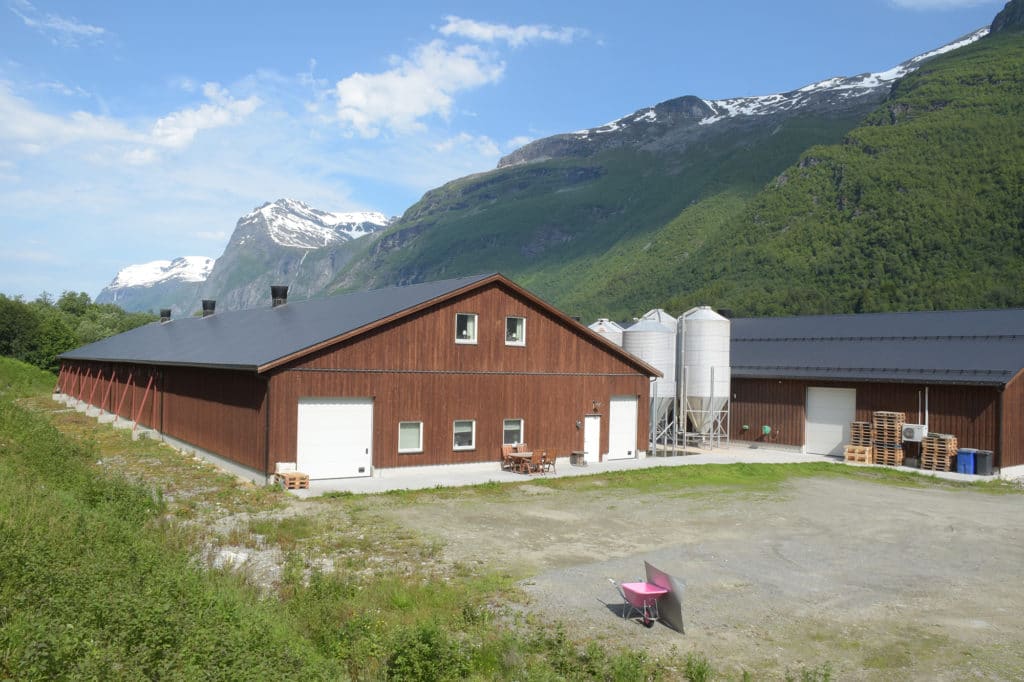 Fjøs i element